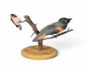 Two-Branch Bird Tree