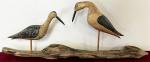 Shore Birds on Driftwood