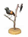 Two-Branch Bird Tree